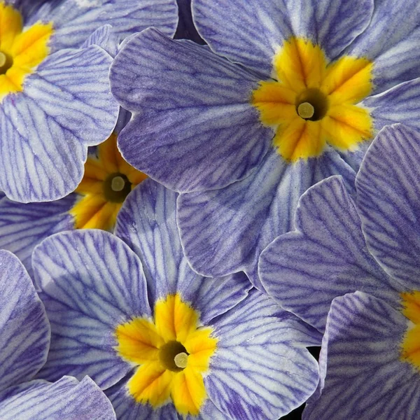 c7娱乐百家乐游戏